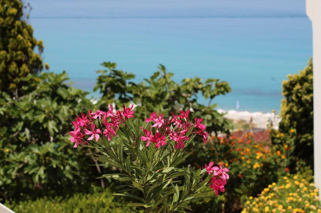BV Kalafiorita Resort Zambrone Esterno foto