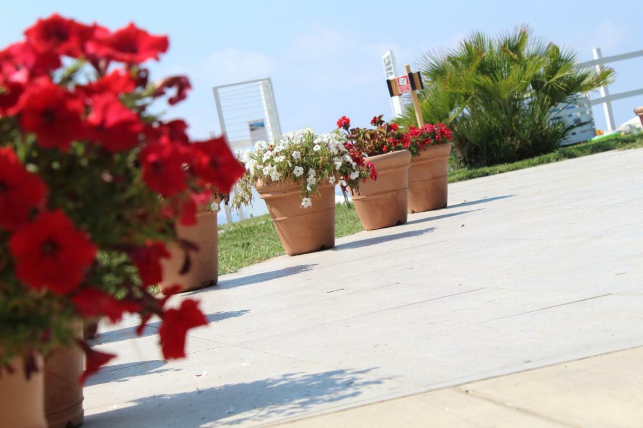 BV Kalafiorita Resort Zambrone Esterno foto