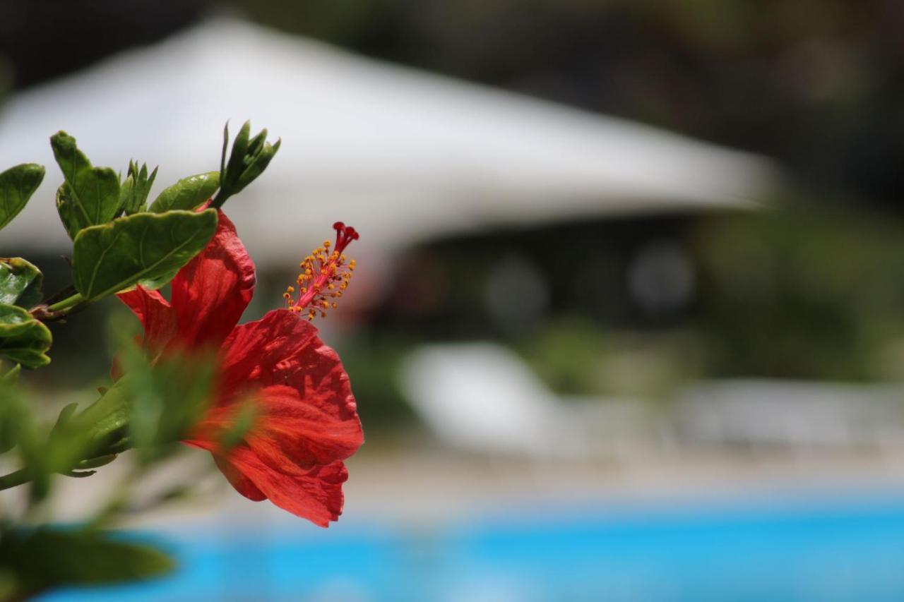 BV Kalafiorita Resort Zambrone Esterno foto