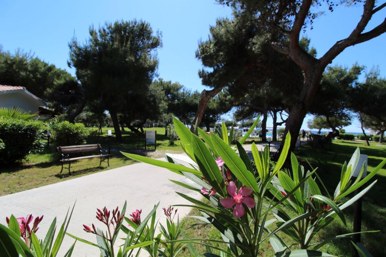 BV Kalafiorita Resort Zambrone Esterno foto