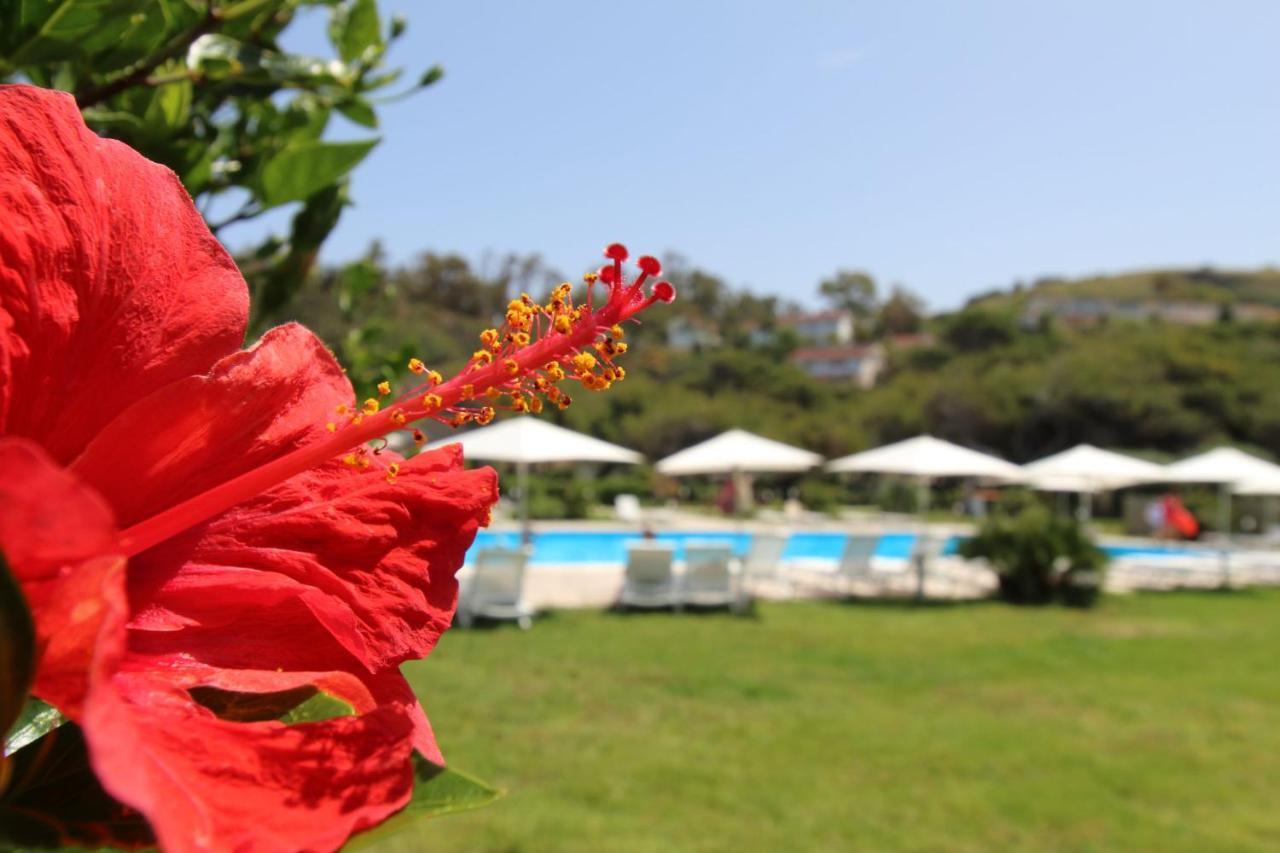 BV Kalafiorita Resort Zambrone Esterno foto